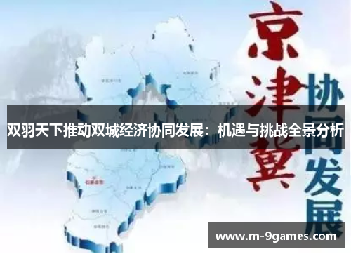 双羽天下推动双城经济协同发展：机遇与挑战全景分析