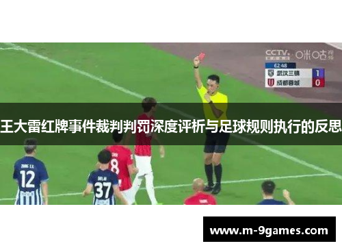王大雷红牌事件裁判判罚深度评析与足球规则执行的反思