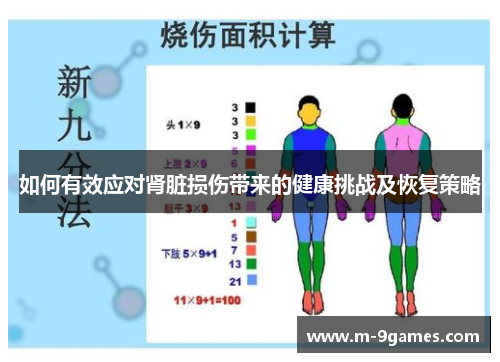 如何有效应对肾脏损伤带来的健康挑战及恢复策略