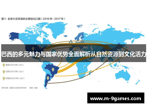 巴西的多元魅力与国家优势全面解析从自然资源到文化活力
