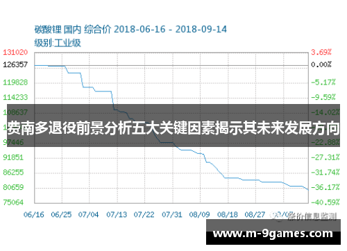 费南多退役前景分析五大关键因素揭示其未来发展方向 费南多退役前景分析五大关键因素揭示其未来发展方向