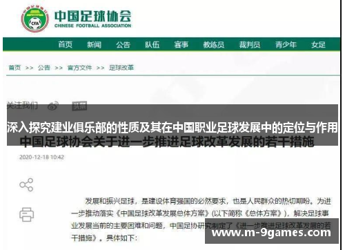 深入探究建业俱乐部的性质及其在中国职业足球发展中的定位与作用 深入探究建业俱乐部的性质及其在中国职业足球发展中的定位与作用