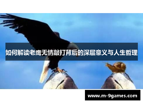 如何解读老鹰无情敲打背后的深层意义与人生哲理