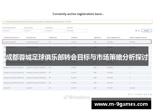 成都蓉城足球俱乐部转会目标与市场策略分析探讨